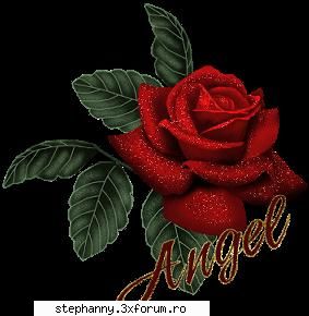 poze flori like werry much the rose